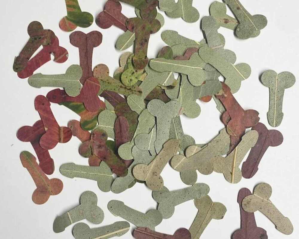 Leaves Shaped into willy confetti