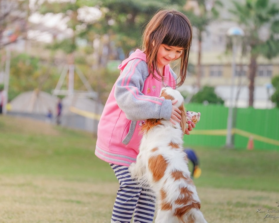 A young girl playing with a dog