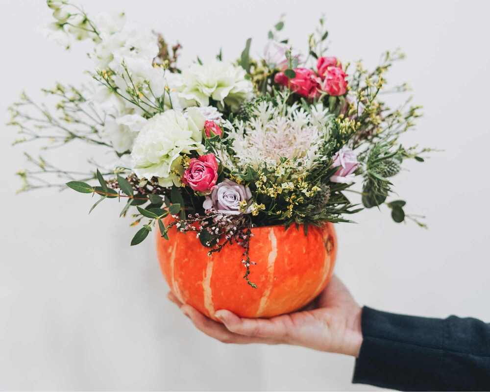 A pumpkin filled with beautiful flowers