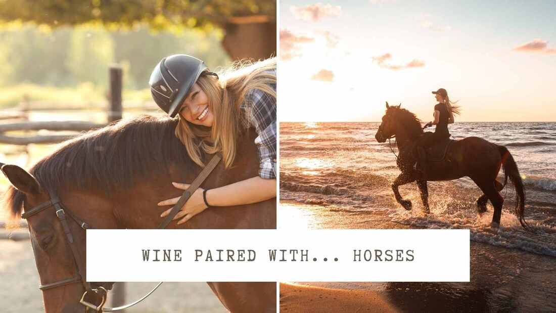 Horseback Winery Tours Review