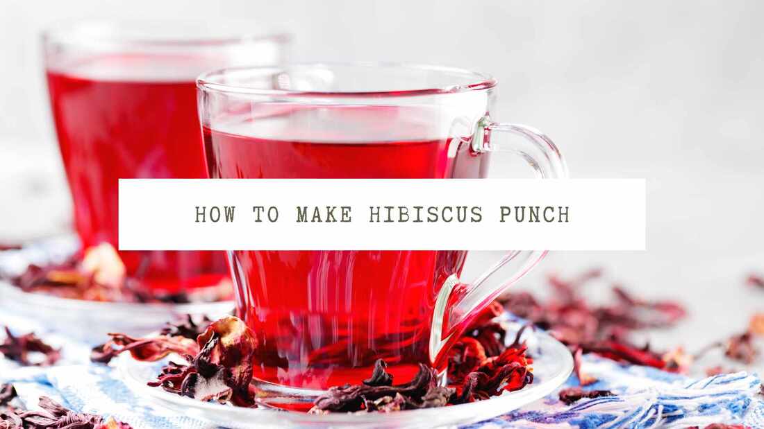 Hibiscus Punch Recipe