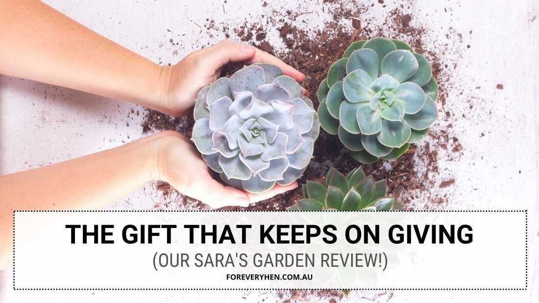 Plant Gifts - Sara's Garden Review