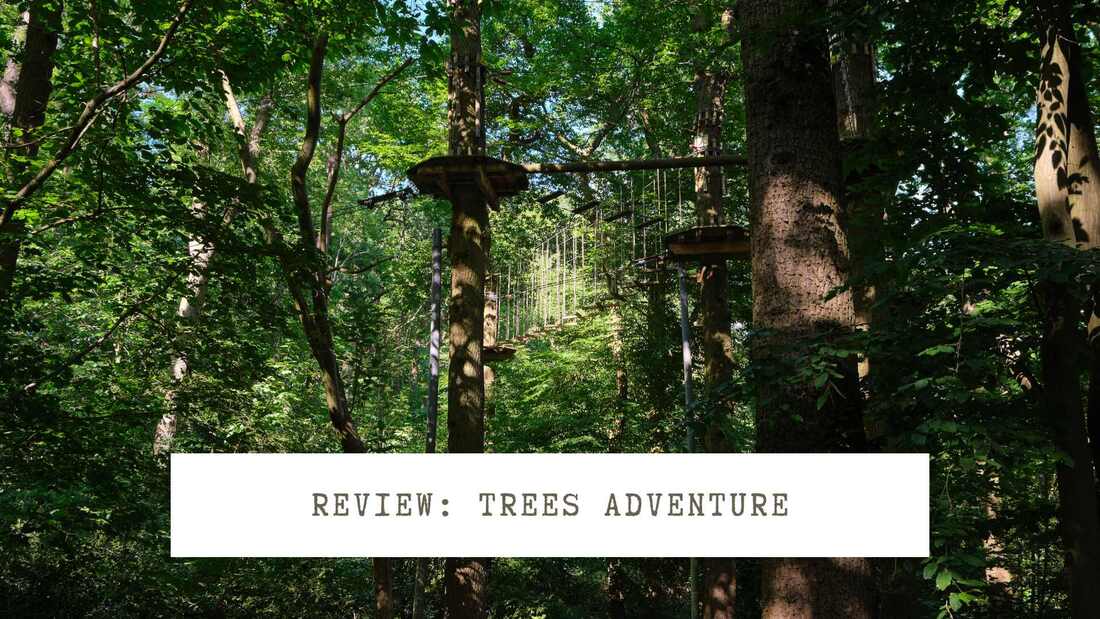Trees adventure review